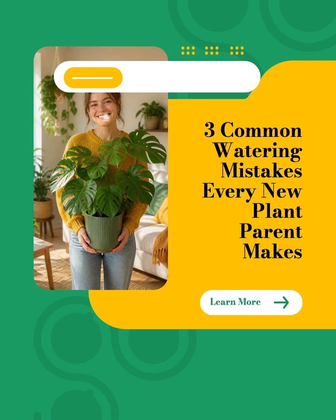 3 Common Watering Mistakes Every New Plant Parent Makes — Learn More